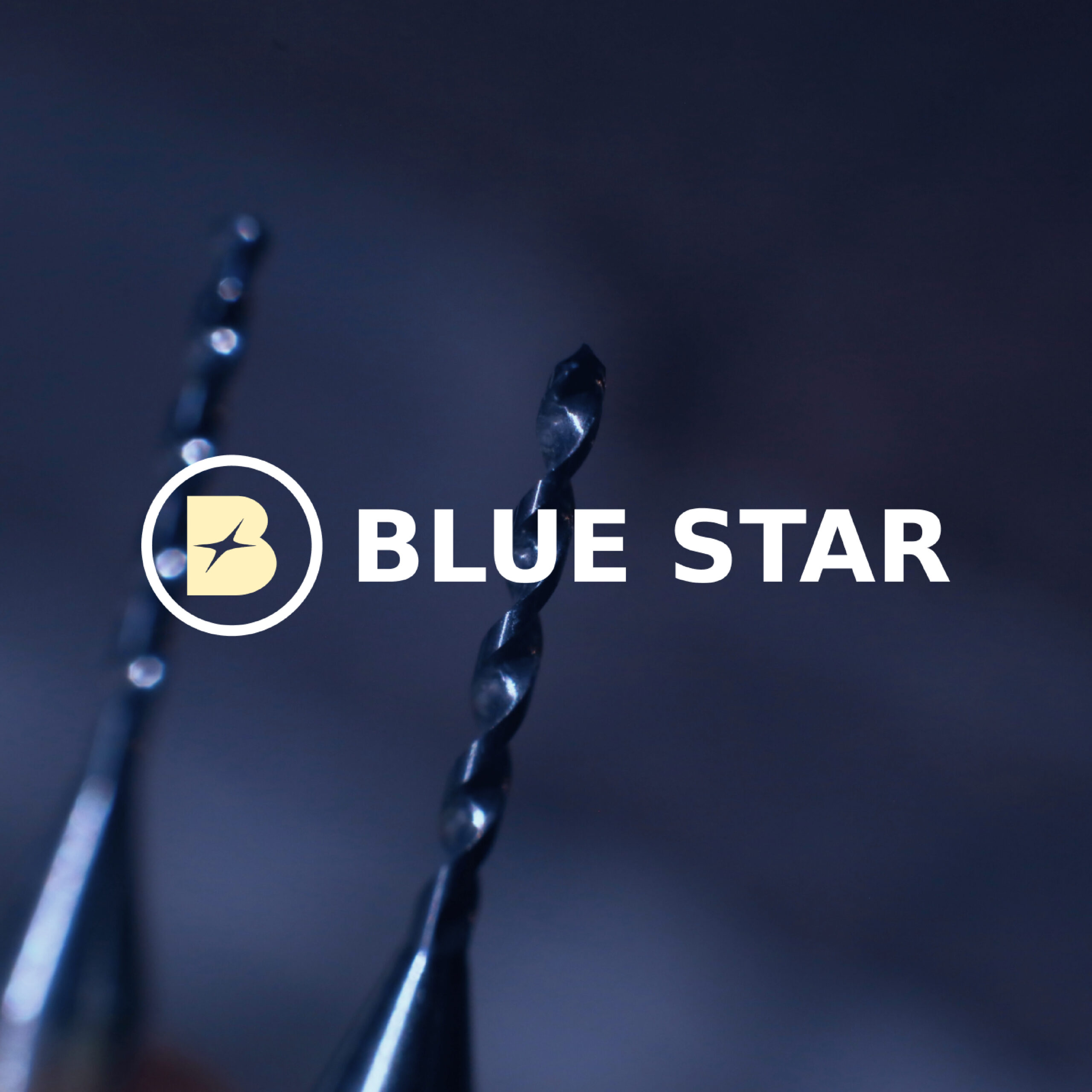 Blue Star Logo Identity 08 scaled